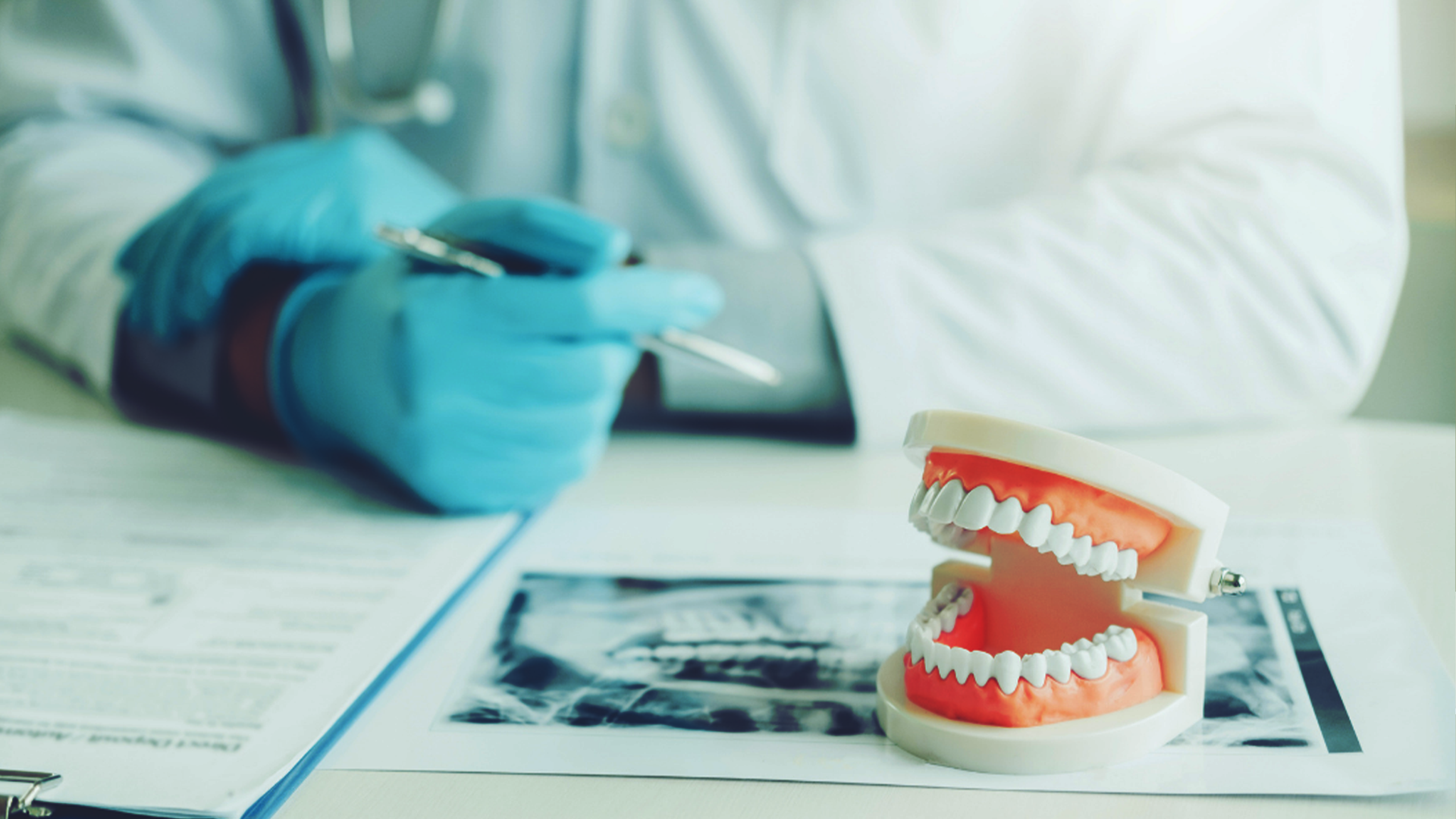 planos de fundo érica site.png